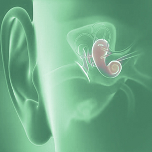 МРТ внутреннего уха